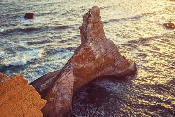 Beautiful coastline landscapes in  Paracas National Reserve — Stock Photo, Image