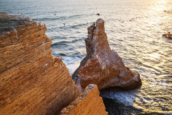 Krásné pobřeží krajiny v národní rezervace Paracas — Stock fotografie