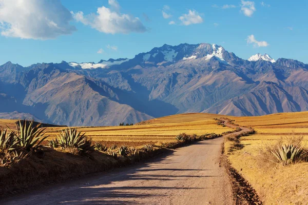 Pampas landscapes in  Cordillera de Los Andes — Stock Fotó