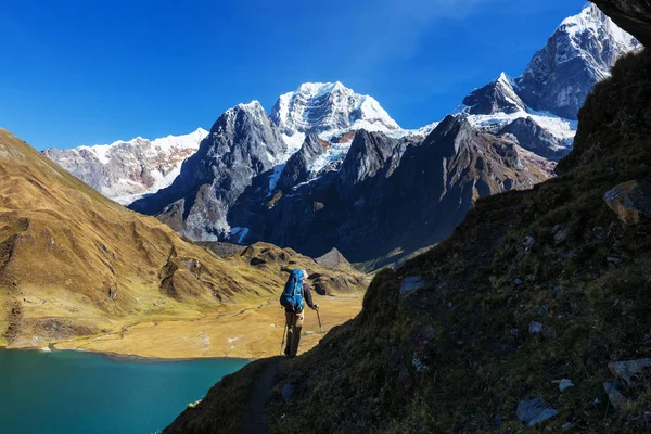 Pěší turistika scéna v pohoří Cordillera — Stock fotografie