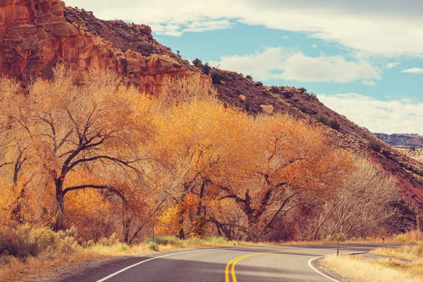 Colorida escena de otoño en el camino del campo — Foto de Stock