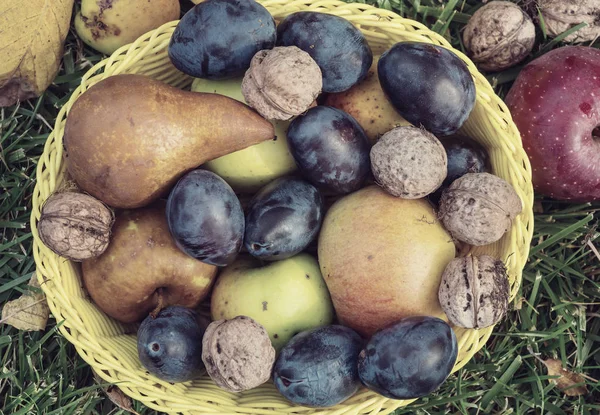 Cena de outono com colheita de frutas e nozes — Fotografia de Stock