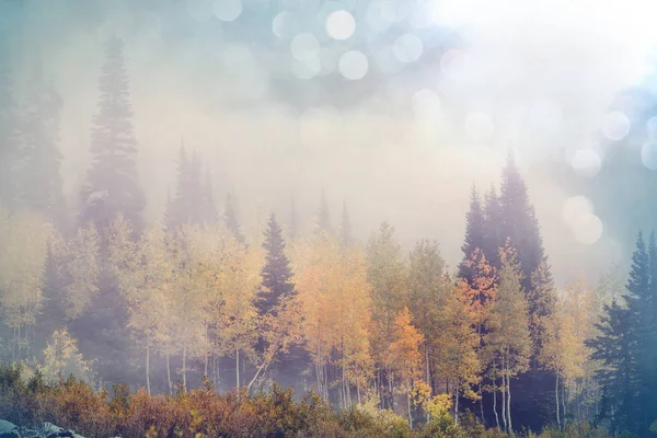 Vista cênica colorida no outono — Fotografia de Stock