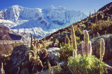 Cordillera yükseltisidir güzel dağ manzarası
