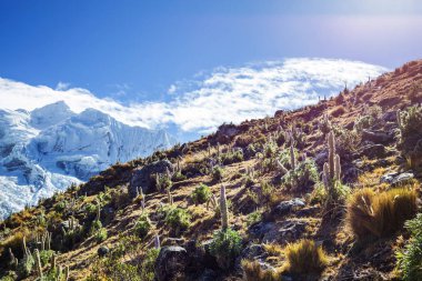 Cordillera yükseltisidir güzel dağ manzarası
