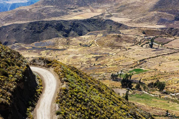 Canyon Colca au Pérou — Photo
