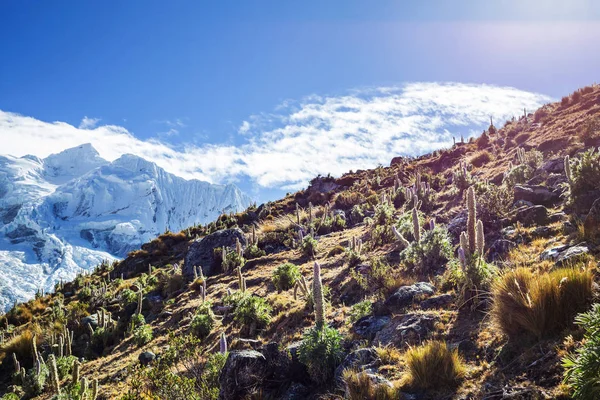 Cordillera yükseltisidir güzel dağ manzarası