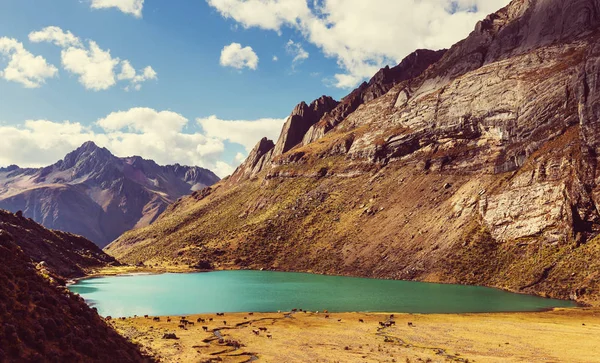 Hermoso paisaje de montaña en la Cordillera Huayhuash —  Fotos de Stock