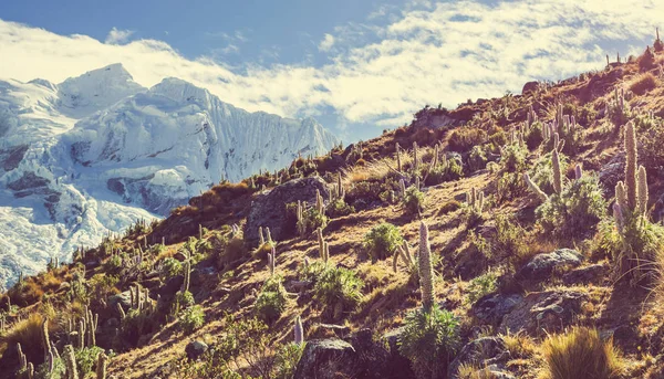 Hermoso paisaje de montaña en la Cordillera Huayhuash — Foto de Stock