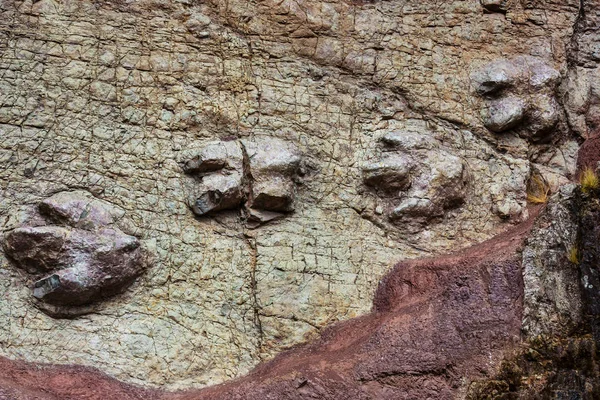 ペルーの恐竜の足跡をクローズ アップ — ストック写真