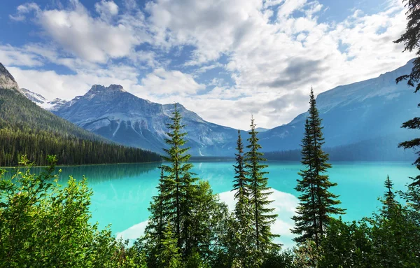 Serenity Emerald Lake Parque Nacional Yoho Canadá —  Fotos de Stock