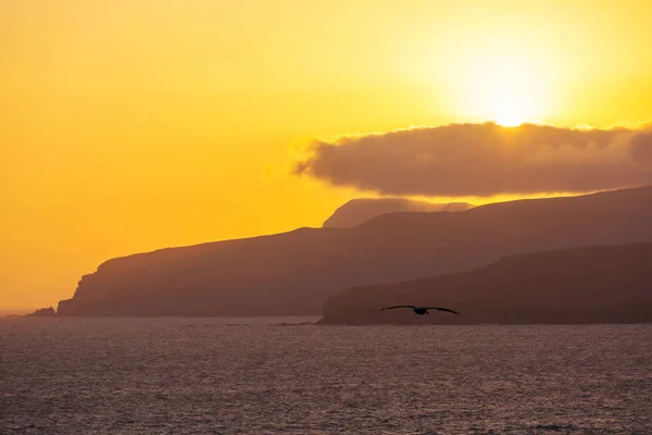 Vackra kusten landskap i Paracas nationella reserven — Stockfoto