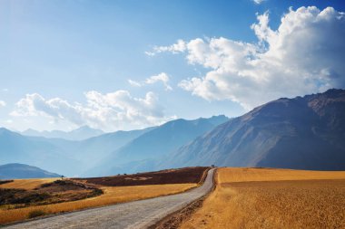 Pampas landscape in  Cordillera de Los Andes