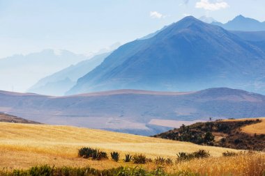 Pampas landscape in  Cordillera de Los Andes