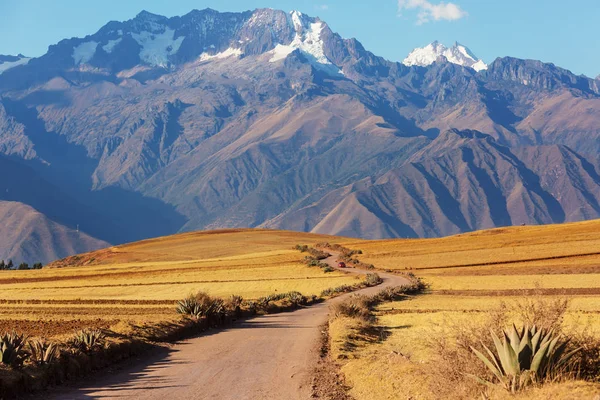 Pampaslandskap i Cordillera de Los Andes – stockfoto