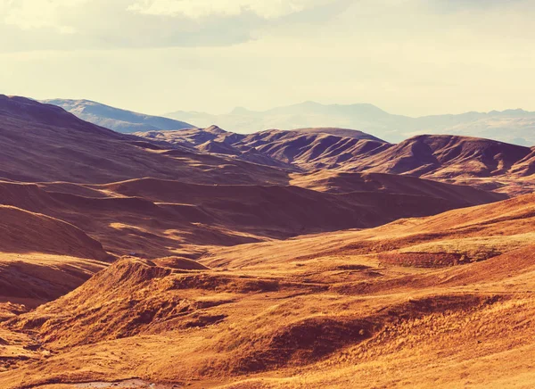 Pampas landscape in  Cordillera de Los Andes — Stock fotografie