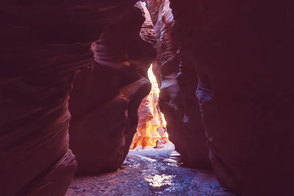 Slot canyon in Grand Staircase Escalante National park — Stock Photo, Image