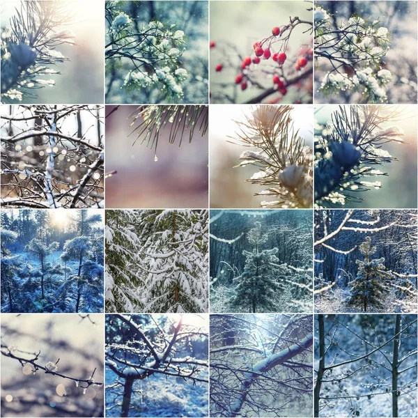 Zimowe Wakacje Kolaż Tekstury Tła — Zdjęcie stockowe