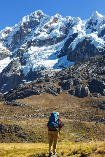 Людина мандрівного в Перу — стокове фото
