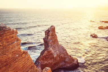 Güzel kıyı şeridi manzara Paracas Ulusal rezerv