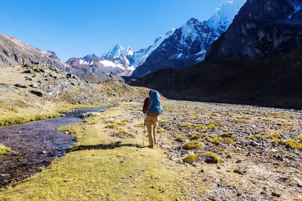 Hombre excursionista en Perú —  Fotos de Stock