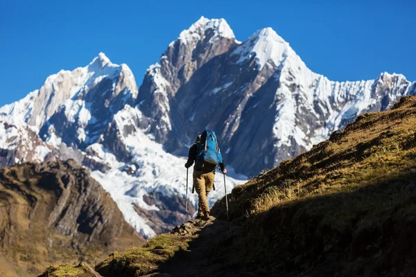 Homem caminhante no Peru — Fotografia de Stock