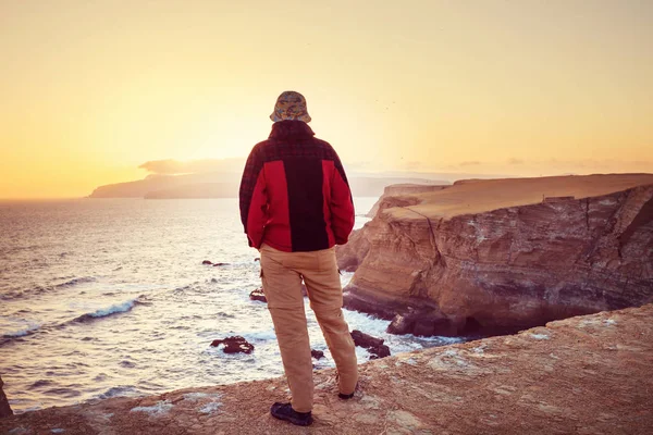Güzel kıyı şeridi manzara Paracas Ulusal rezerv,