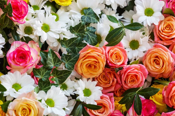 Primo piano dei bellissimi fiori . — Foto Stock