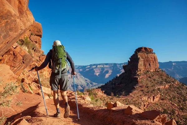 Caminhante no Grand Canyon — Fotografia de Stock