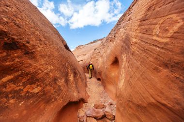 Yuvası Kanyon Grand merdiven Escalante Ulusal Parkı içinde