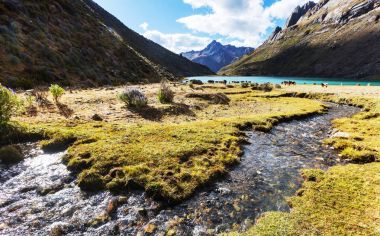 Güzel Dağlar Manzarası