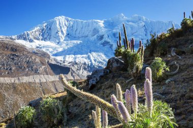 Güzel Dağlar Manzarası