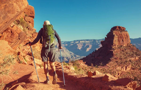 Randonnée dans le Grand Canyon — Photo