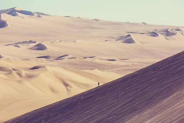 Hiker in sand desert. — Stock Photo, Image