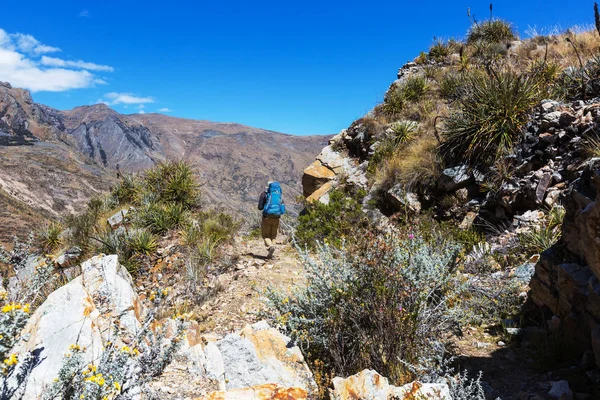 Pěší turistika scéna v pohoří Cordillera — Stock fotografie