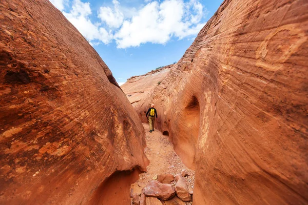 Yuvası Kanyon Grand merdiven Escalante Ulusal Parkı içinde