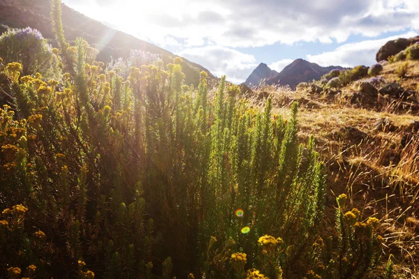 Paisaje de hermosas montañas —  Fotos de Stock