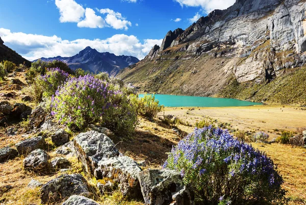 Vakre fjellandskap – stockfoto