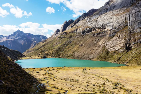Güzel Dağlar Manzarası