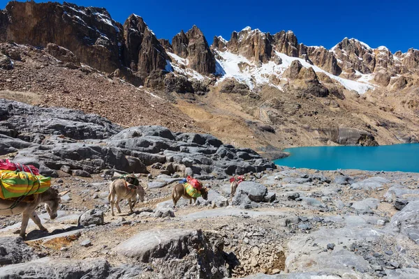 Güzel Dağlar Manzarası