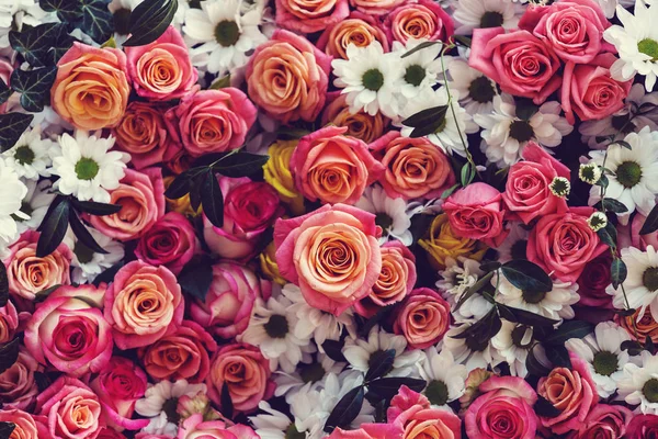 Primer plano de las hermosas flores — Foto de Stock