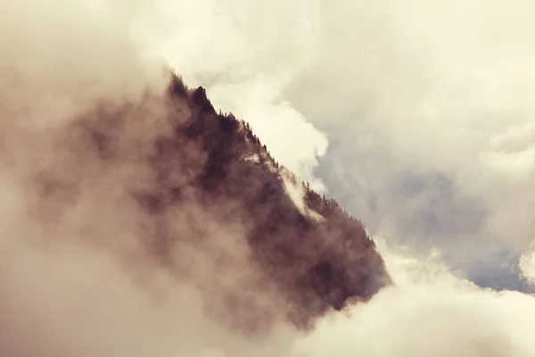 Fog in high mountains — Stock Photo, Image