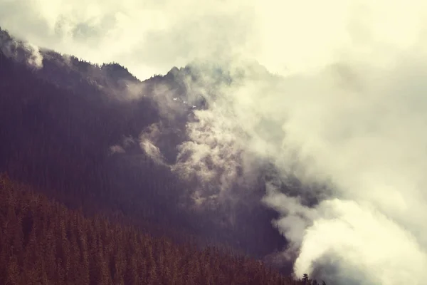 Mist in hoge bergen — Stockfoto