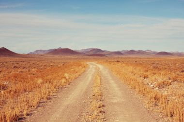  çayır ülke manzara