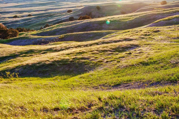 夏緑の丘景色 — ストック写真