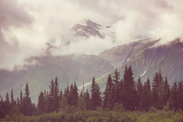 Vedere pitorească la munte în stâncile canadiene — Fotografie, imagine de stoc
