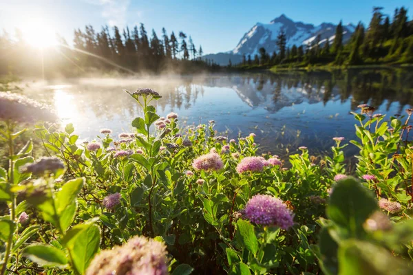 Scenisk Bild Sjö Med Berg Shuksan Reflektion Washington Usa — Stockfoto