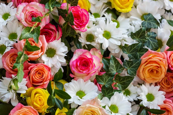 Güzel doğa arkaplanı