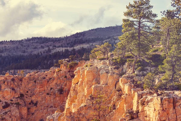 Homokkő képződmények, Utah — Stock Fotó