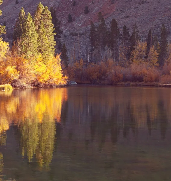 Herbst in Sierra Nevada — Stockfoto